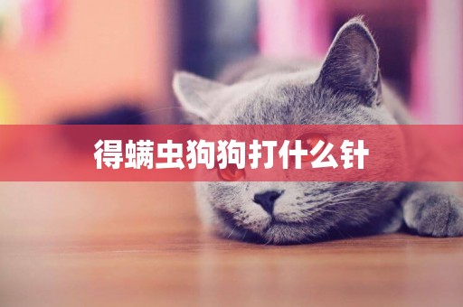 得螨蟲狗狗打什么針