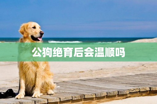 公狗絕育后會溫順嗎