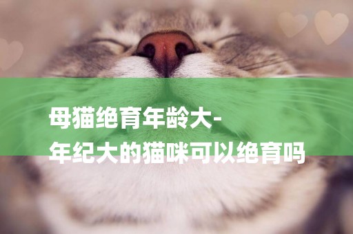 母貓絕育年齡大-
年紀大的貓咪可以絕育嗎