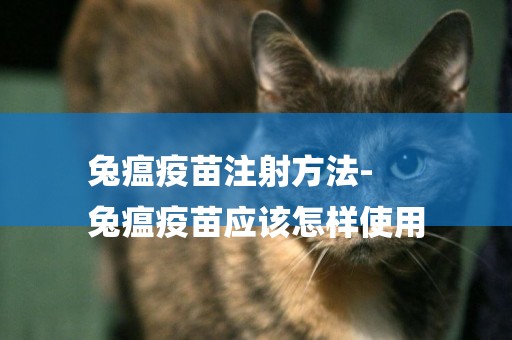 兔瘟疫苗注射方法-
兔瘟疫苗應該怎樣使用