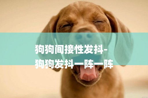 狗狗間接性發抖-
狗狗發抖一陣一陣
