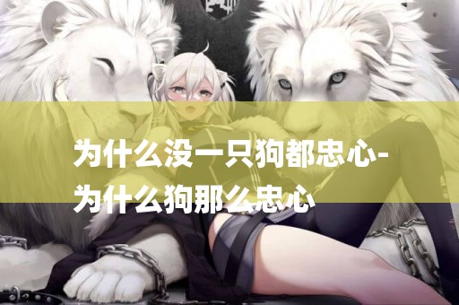 為什么沒一只狗都忠心-
為什么狗那么忠心