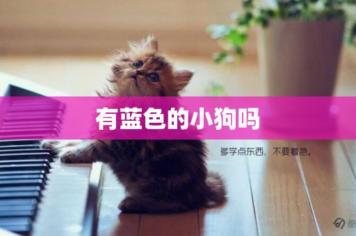 有藍色的小狗嗎