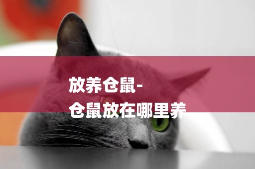 放養倉鼠-
倉鼠放在哪里養