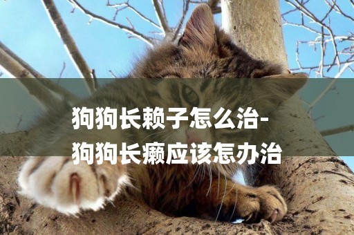 狗狗長賴子怎么治-
狗狗長癩應該怎辦治