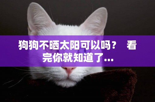 狗狗不曬太陽可以嗎？  看完你就知道了...