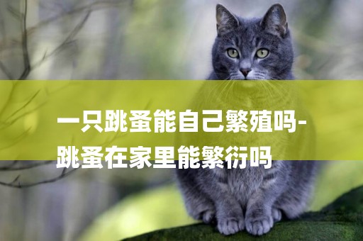 一只跳蚤能自己繁殖嗎-
跳蚤在家里能繁衍嗎