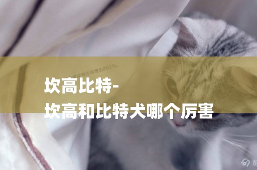 坎高比特-
坎高和比特犬哪個厲害