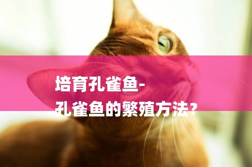 培育孔雀魚-
孔雀魚的繁殖方法？