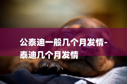 公泰迪一般幾個月發情-
泰迪幾個月發情