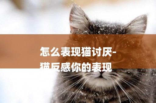 怎么表現貓討厭-
貓反感你的表現