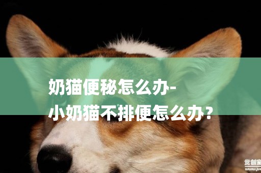 奶貓便秘怎么辦-
小奶貓不排便怎么辦？