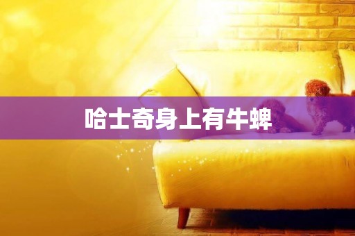 哈士奇身上有牛蜱