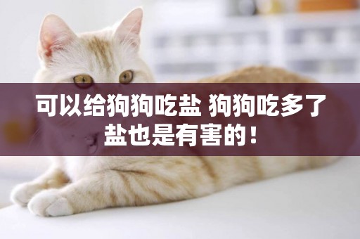 可以給狗狗吃鹽 狗狗吃多了鹽也是有害的！