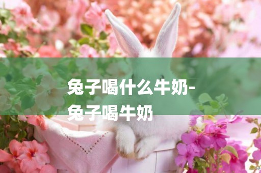 兔子喝什么牛奶-
兔子喝牛奶