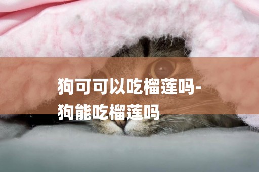 狗可可以吃榴蓮嗎-
狗能吃榴蓮嗎
