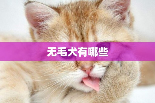 無毛犬有哪些