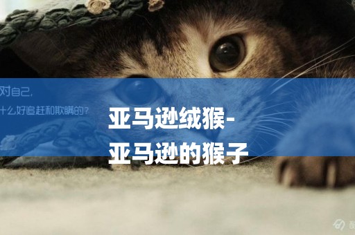 亞馬遜絨猴-
亞馬遜的猴子