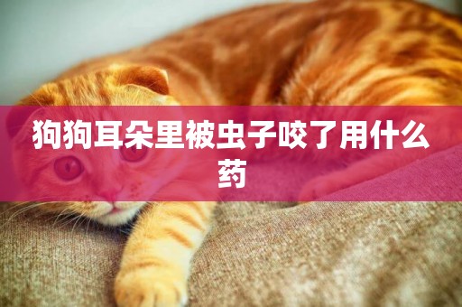 狗狗耳朵里被蟲子咬了用什么藥