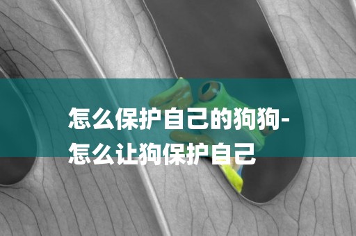 怎么保護自己的狗狗-
怎么讓狗保護自己