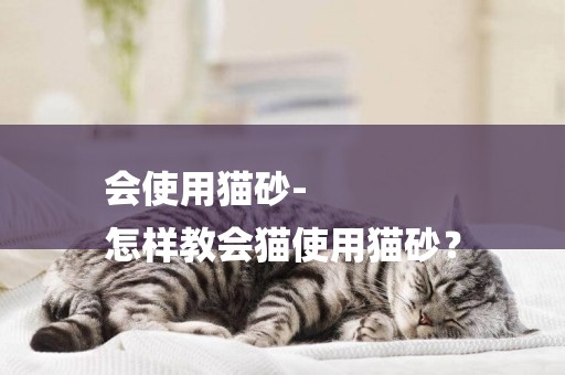 會使用貓砂-
怎樣教會貓使用貓砂？
