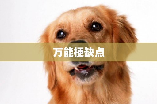 萬能梗缺點