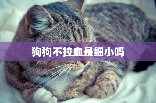 狗狗不拉血是細小嗎