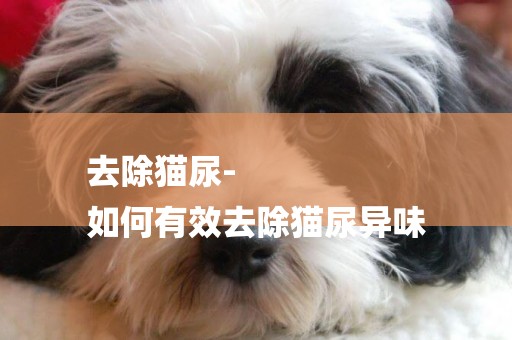 去除貓尿-
如何有效去除貓尿異味