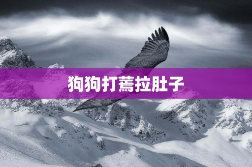 狗狗打蔫拉肚子
