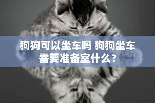 狗狗可以坐車嗎 狗狗坐車需要準備室什么？