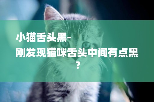 小貓舌頭黑-
剛發現貓咪舌頭中間有點黑？