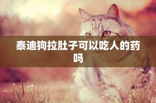 泰迪狗拉肚子可以吃人的藥嗎