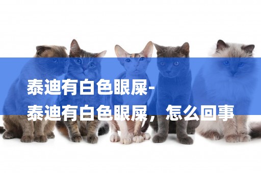 泰迪有白色眼屎-
泰迪有白色眼屎，怎么回事