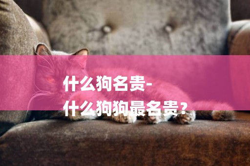 什么狗名貴-
什么狗狗最名貴？
