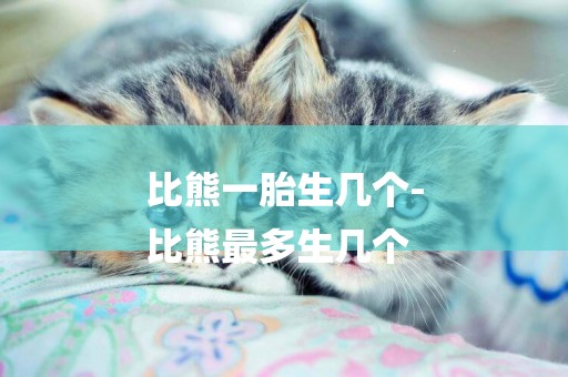 比熊一胎生幾個-
比熊最多生幾個
