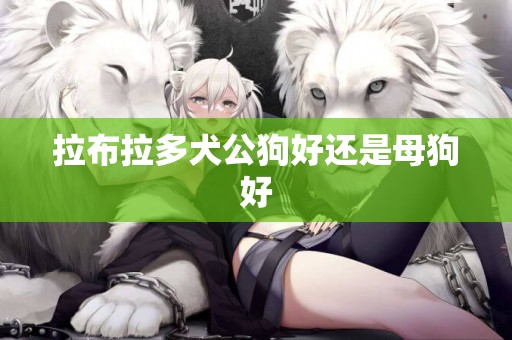 拉布拉多犬公狗好還是母狗好