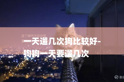 一天遛幾次狗比較好-
狗狗一天要遛幾次