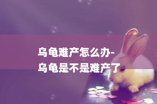 烏龜難產怎么辦-
烏龜是不是難產了