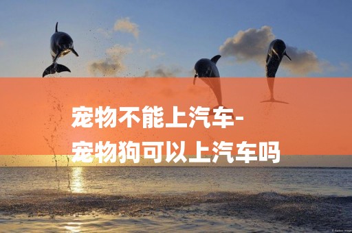 寵物不能上汽車-
寵物狗可以上汽車嗎