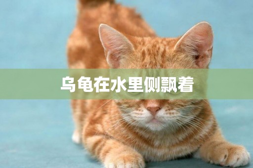 烏龜在水里側飄著