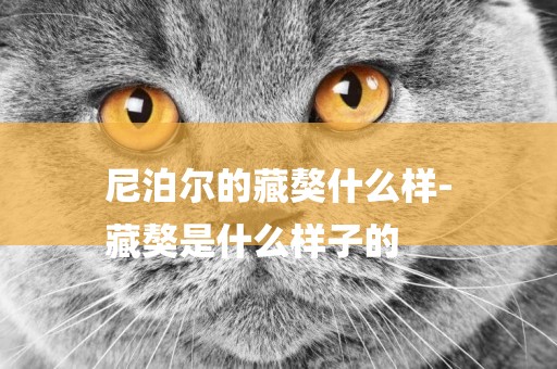 尼泊爾的藏獒什么樣-
藏獒是什么樣子的