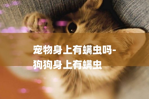 寵物身上有螨蟲嗎-
狗狗身上有螨蟲