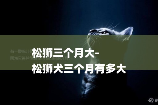 松獅三個月大-
松獅犬三個月有多大