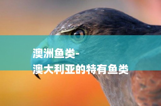 澳洲魚類-
澳大利亞的特有魚類