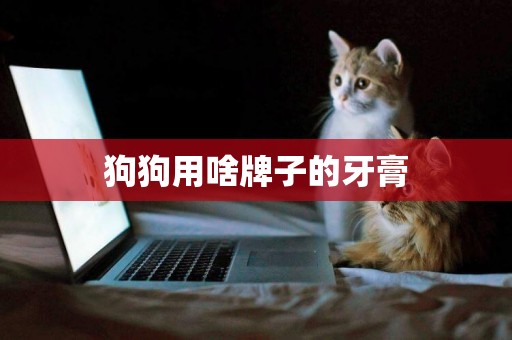 狗狗用啥牌子的牙膏