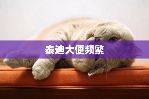 泰迪大便頻繁