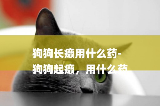 狗狗長癩用什么藥-
狗狗起癩，用什么藥