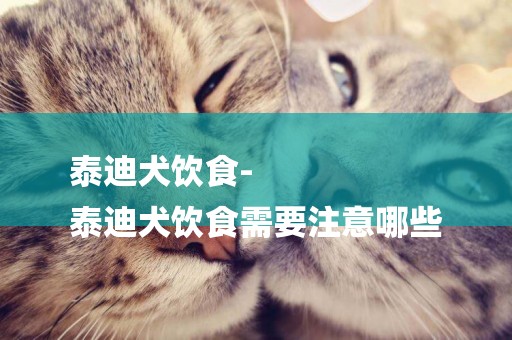 泰迪犬飲食-
泰迪犬飲食需要注意哪些