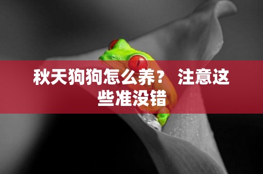 秋天狗狗怎么養？ 注意這些準沒錯
