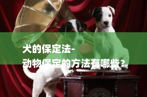 犬的保定法-
動物保定的方法有哪些？
